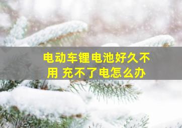 电动车锂电池好久不用 充不了电怎么办